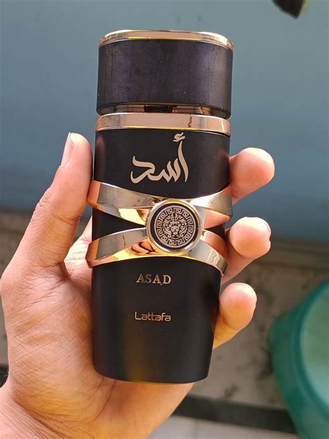 lattafa asad reviews.